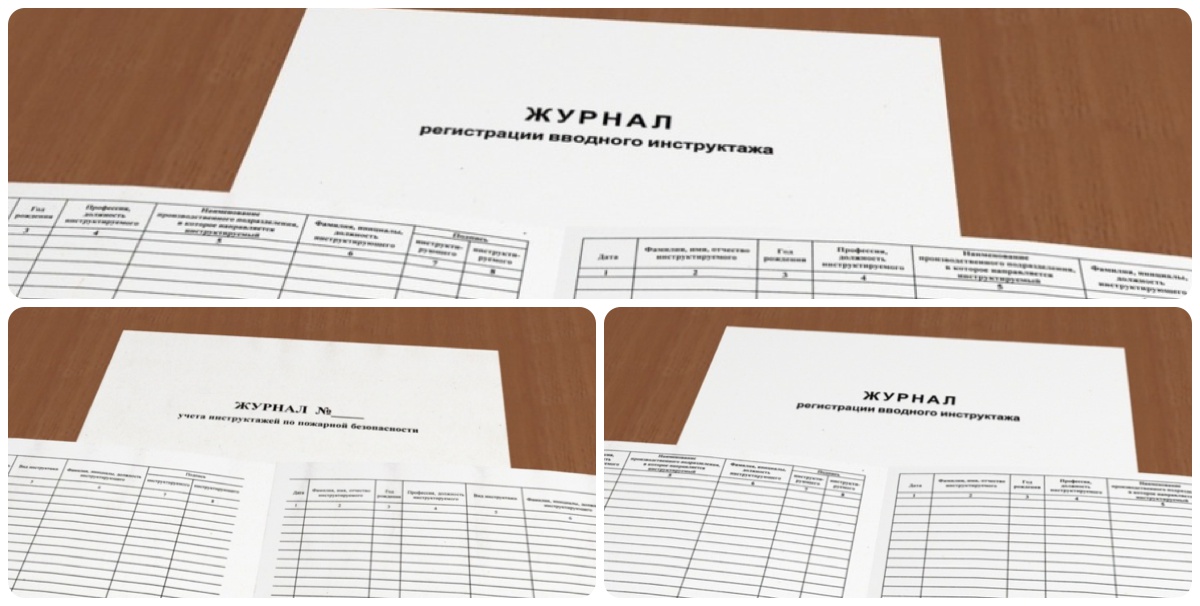 Вводный журнал по охране труда купить в Озерске